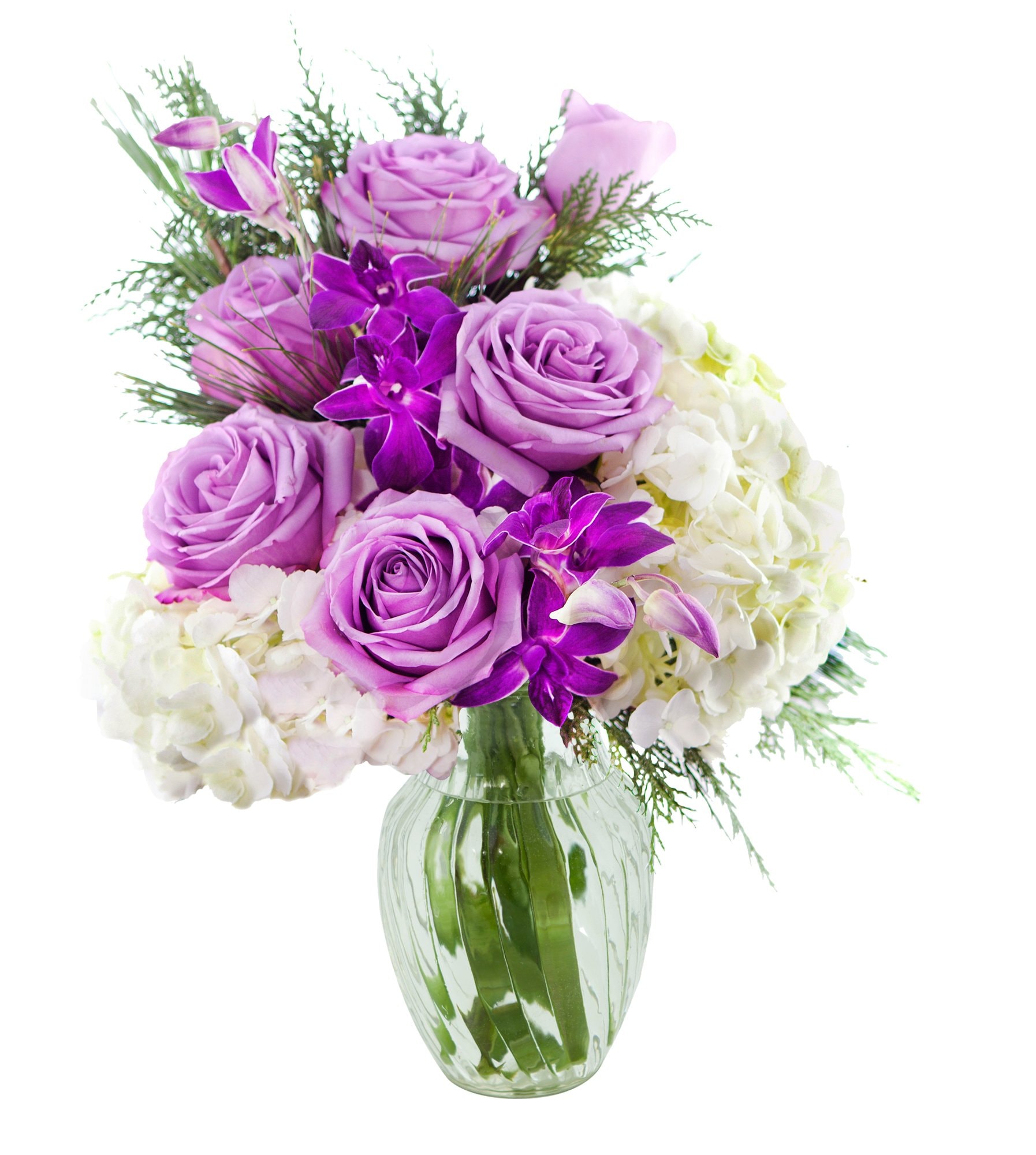 KaBloom Flowers - Valentine Collection - Bouquet of Purple Roses,White Hydrangea,Purple Orchids and Greens with Vase.Gift for Birthday, Anniversary, Mother’s Day Fresh Flowers: With vase Slight Night