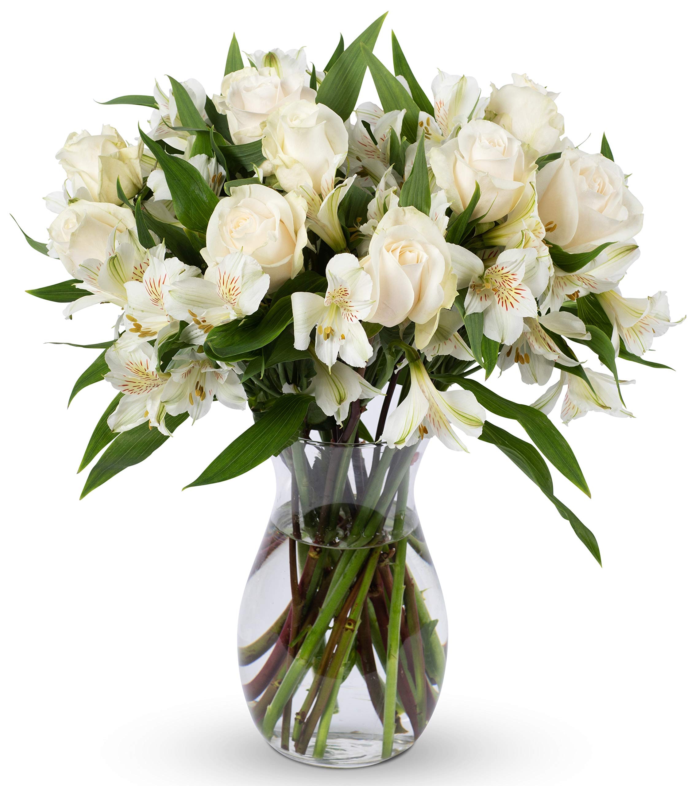 Benchmark Bouquets Elegance Roses & Alstroemeria, Glass Vase Included, Gift Fresh Flowers for Birthday, Anniversary, Get Well, Sympathy, Congratulations, Thank You, Just Because: White/White